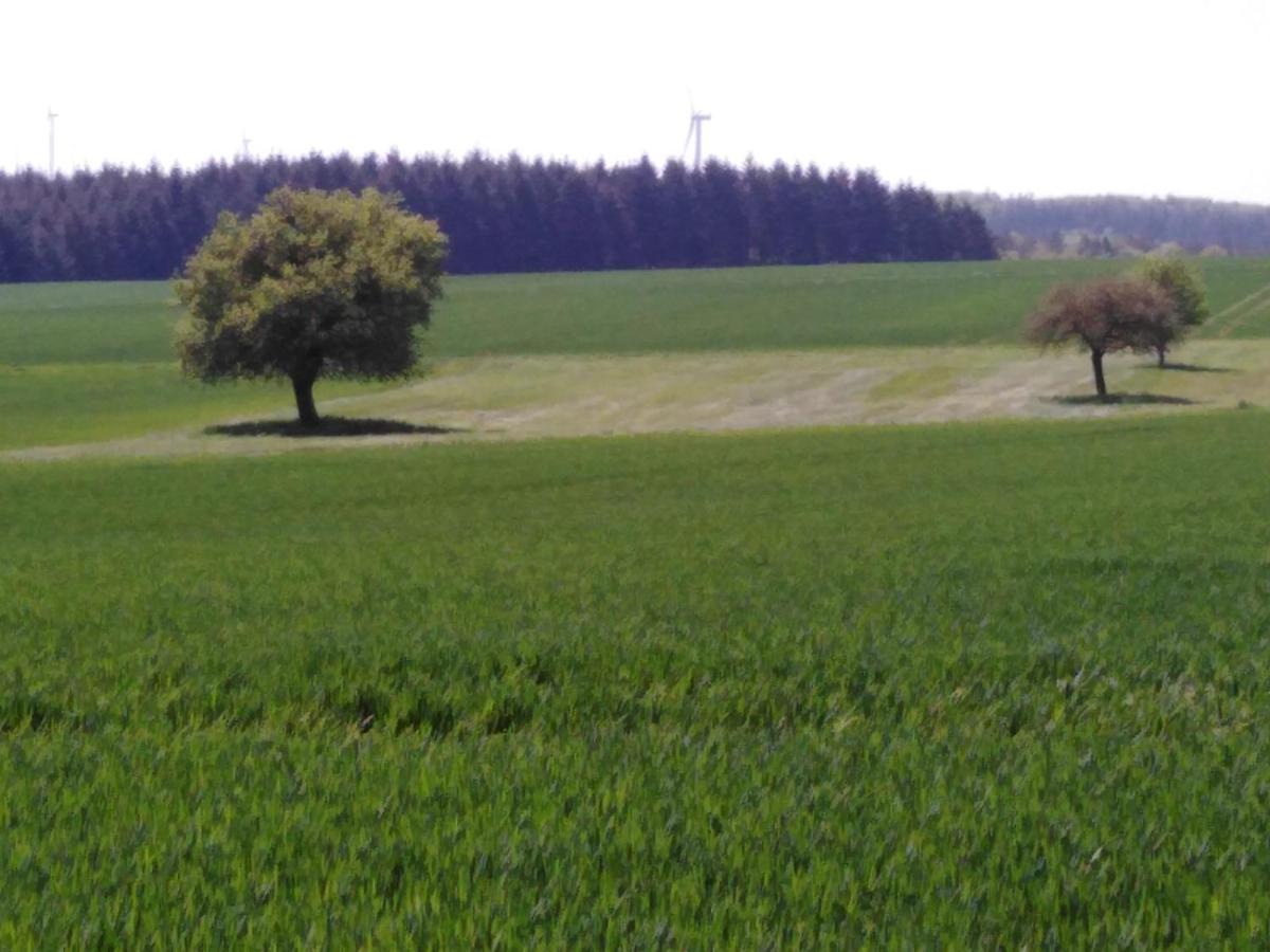 Ferienhaus Cilla Beltheim Luaran gambar
